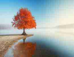 定‌制‌Linux运﻿维‌系﻿统‍